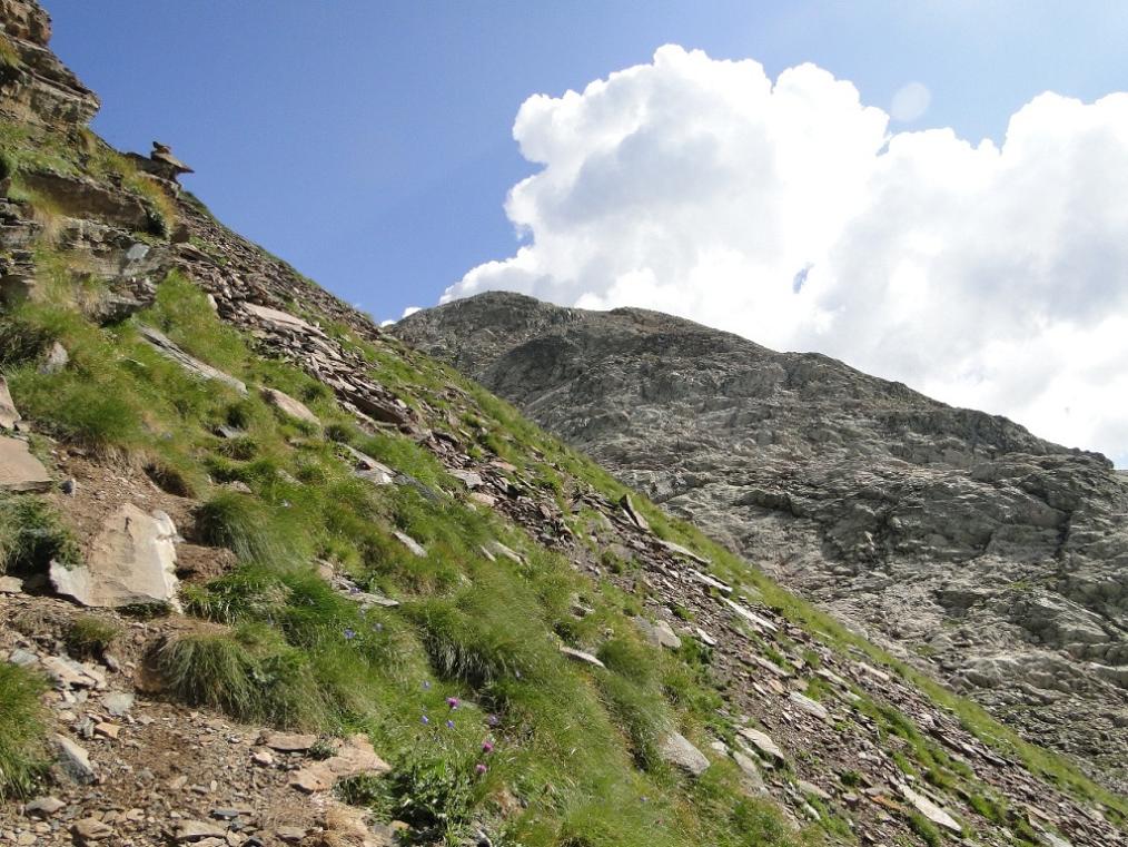 Itinerari per tutti (o quasi): il monte Cabianca